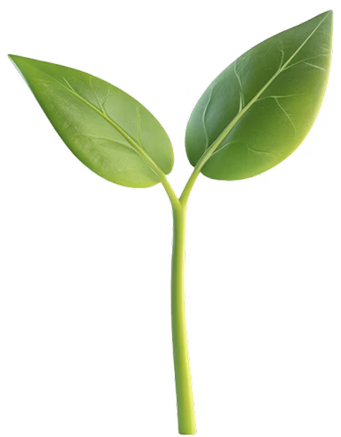 leavesBlock-card-image-mobile